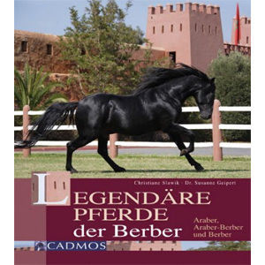 Legendre Pferde der Berber