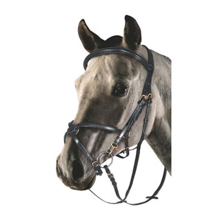 Snaffle bridle with figure of 8 noseband