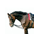 Lunging draw reins, german leather